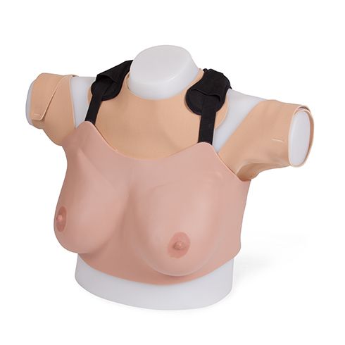 Breast Examination Trainer - Advanced -L&T